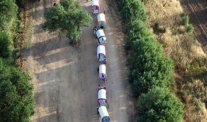 La Junta de Andalucía recomienda no celebrar ferias y romerías a causa del Covid-19 - Gastronomía y Moda