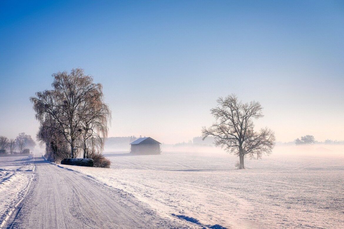 Disfruta esta Navidad en Alemania de la nieve, velas y vino caliente - Gastronomía y Moda