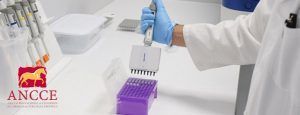 ANCCE pone a disposición de las autoridades sanitarias españolas su Laboratorio de Genética Molecular y equipos para la detección del coronavirus - Gastronomía y Moda