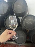 Bodegas Pérez Barquero, el olimpo de uno de los mejores vinos del mundo - Gastronomía y Moda