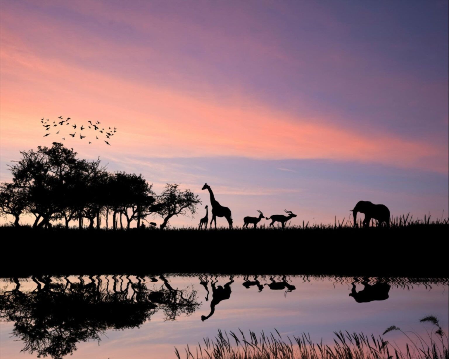 4 destinos, un solo viaje: la gran aventura africana que termina en el paraíso gracias a Honimunn - Gastronomía y Moda