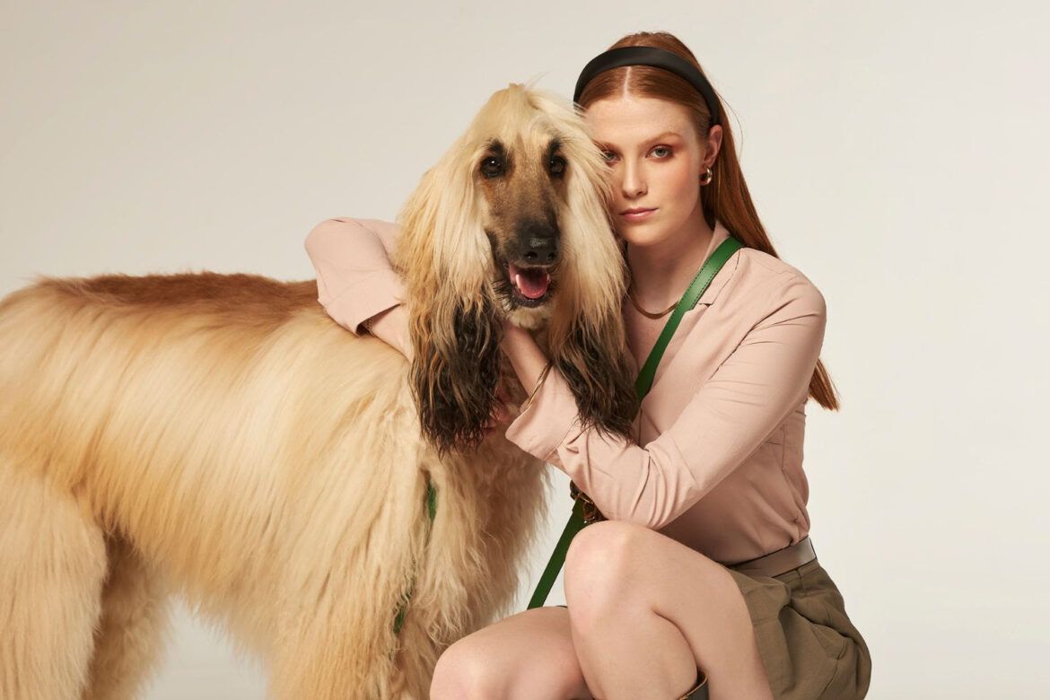 Branni Pets: artesanía y moda de lujo para las mascotas - Gastronomía y Moda