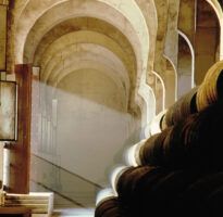 Fundador revoluciona Jerez con un exclusivo ronqueo de atún rojo en sus bodegas históricas - Gastronomía y Moda