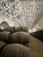 Bodegas Pérez Barquero, el olimpo de uno de los mejores vinos del mundo - Gastronomía y Moda