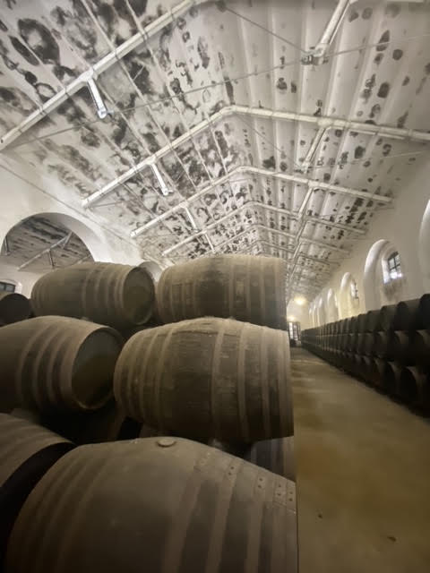 Bodegas Pérez Barquero, el olimpo de uno de los mejores vinos del mundo - Gastronomía y Moda
