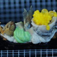 Alta moda, chefs estrellas Michelin y enólogos: así ha vivido País Vasco sus jornadas turísticas de lujo - Gastronomía y Moda