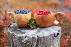 Ruska, el encantador e inesperado momento para visitar Laponia más allá de la época navideña - Gastronomía y Moda