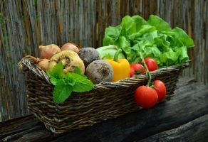 ¿Quieres perder perder el peso ganado durante el verano? - Gastronomía y Moda