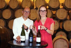 Quitapenas, la bodega histórica en Málaga, emprende una nueva etapa con tintos y blancos de alta calidad - Gastronomía y Moda