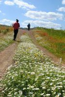 Camina por los secretos del patrimonio del Algarve en el 'Walking Festival Ameixial' - Gastronomía y Moda
