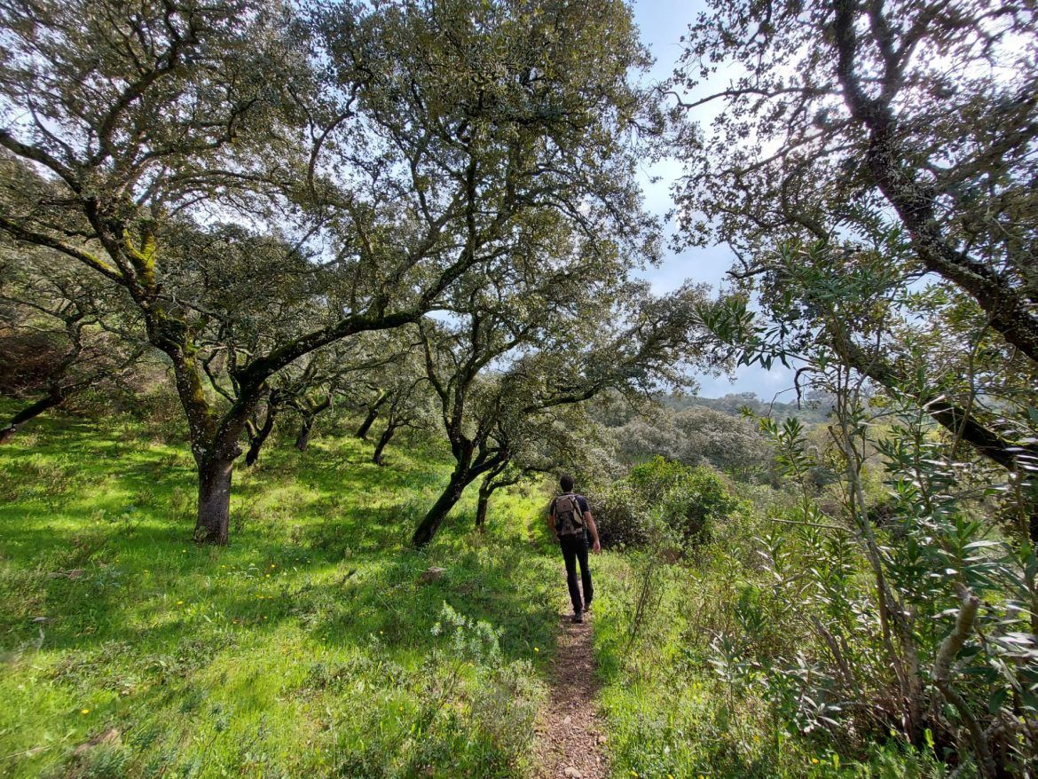 Camina por los secretos del patrimonio del Algarve en el 'Walking Festival Ameixial' - Gastronomía y Moda