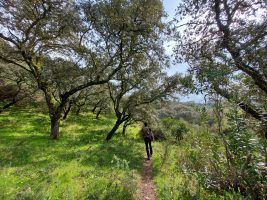 Camina por los secretos del patrimonio del Algarve en el 'Walking Festival Ameixial' - Gastronomía y Moda
