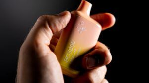 Mantenimiento y seguridad: Cómo cuidar tu vape correctamente - Gastronomía y Moda